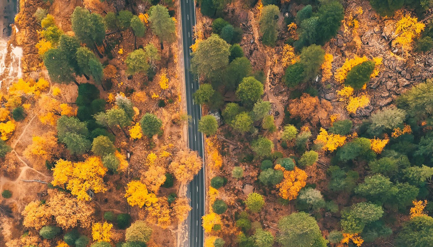 The Beauty of Autumn